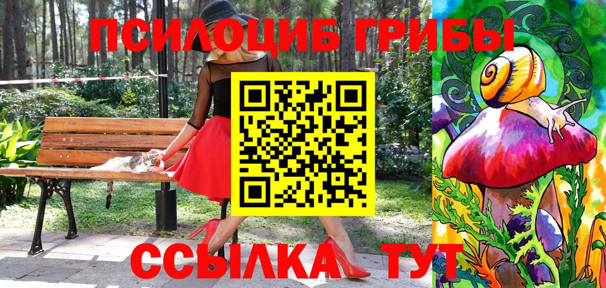 Псилоцибиновые грибы мухоморы Кандалакша