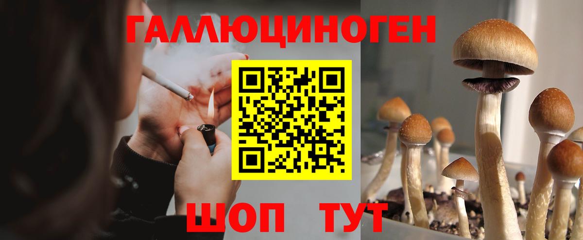 Псилоцибиновые грибы Psilocybe  Галлюциногенные грибы мицелий  что такое   Кандалакша  Вход с VPN 